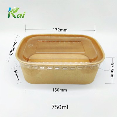 Bento 750ml